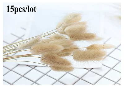 15 buc/lot Iarbă coadă de iepure Flori uscate naturale de înaltă calitate Fotografie Fotografie Studio Recuzită Fundal Podoabe DIY