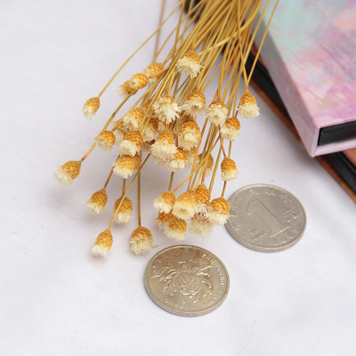 50Pcs Artificial Flower INS Photography Ornaments Home Photo Studio Διακόσμηση σκηνικού αποξηραμένα λουλούδια Διακοσμητική φωτογραφία