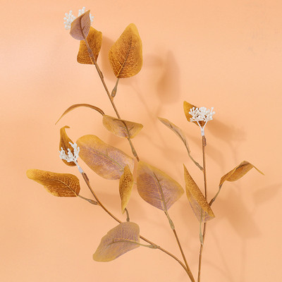 Umjetno lišće eukaliptusa Voće 3 grančice Fotografiranje Dekor Pozadina za fotografiju Rekviziti Stolna ploča Fotografia Fotografski studio