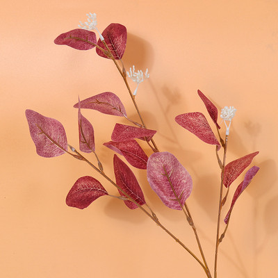 Umjetno lišće eukaliptusa Voće 3 grančice Fotografiranje Dekor Pozadina za fotografiju Rekviziti Stolna ploča Fotografia Fotografski studio