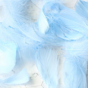 Βελτιστοποίηση υψηλής ποιότητας Φυσικό φτερό Πολύχρωμα φτερά χήνας 3-8cm Φωτογραφικά στηρίγματα για DIY διακόσμηση φωτογραφιών