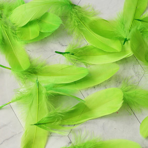 Βελτιστοποίηση υψηλής ποιότητας Φυσικό φτερό Πολύχρωμα φτερά χήνας 3-8cm Φωτογραφικά στηρίγματα για DIY διακόσμηση φωτογραφιών