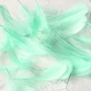 Βελτιστοποίηση υψηλής ποιότητας Φυσικό φτερό Πολύχρωμα φτερά χήνας 3-8cm Φωτογραφικά στηρίγματα για DIY διακόσμηση φωτογραφιών