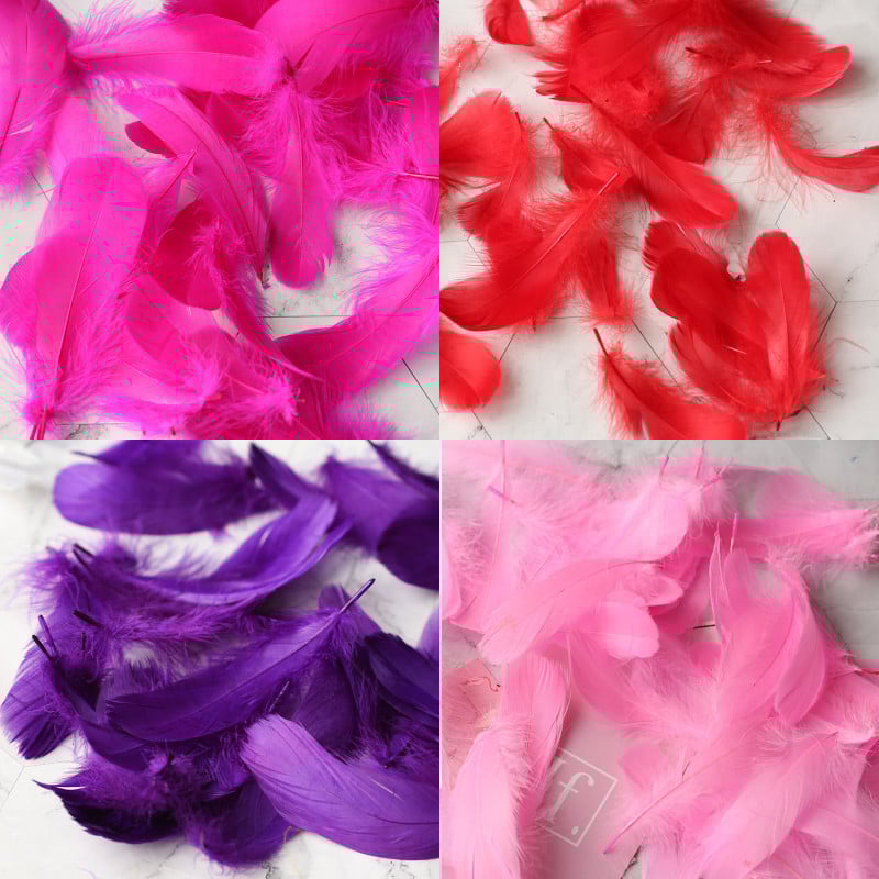 Βελτιστοποίηση υψηλής ποιότητας Φυσικό φτερό Πολύχρωμα φτερά χήνας 3-8cm Φωτογραφικά στηρίγματα για DIY διακόσμηση φωτογραφιών