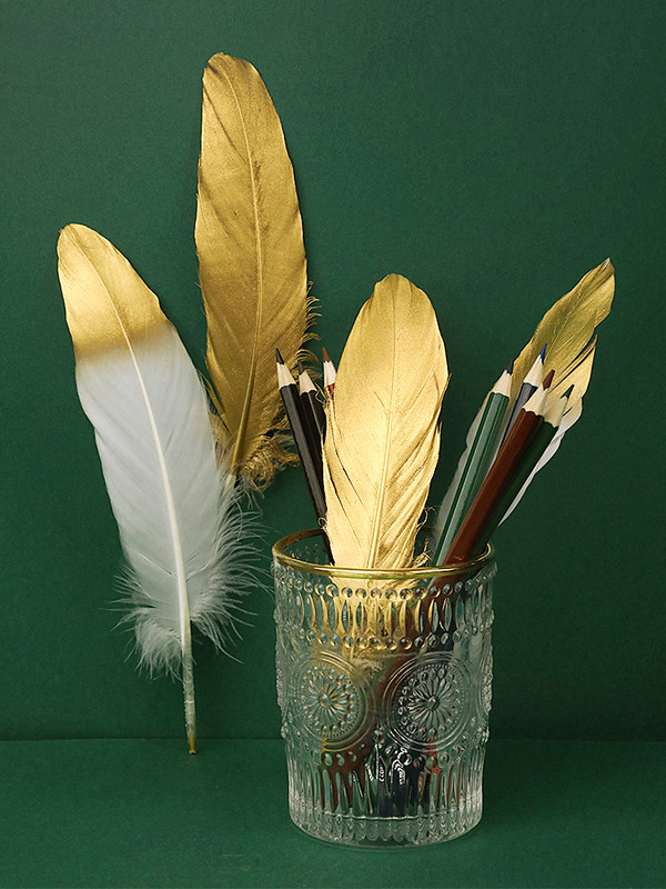 Zlatno prirodno perje Fotografski rekviziti Retro Dekoracije Predmeti Fotografija Fotografia Prsten, Ogrlica Dodaci za foto snimanje