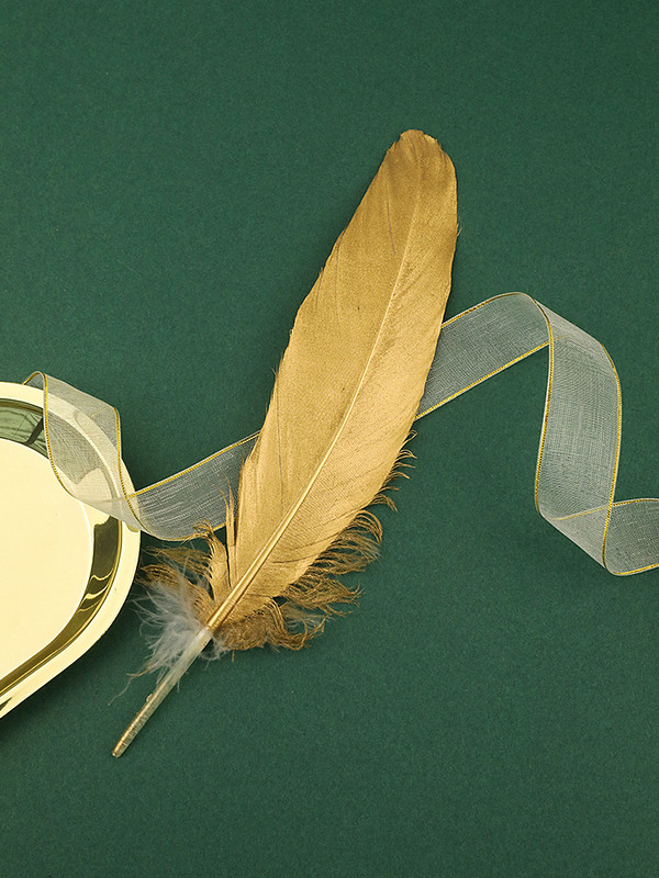 Zlatno prirodno perje Fotografski rekviziti Retro Dekoracije Predmeti Fotografija Fotografia Prsten, Ogrlica Dodaci za foto snimanje