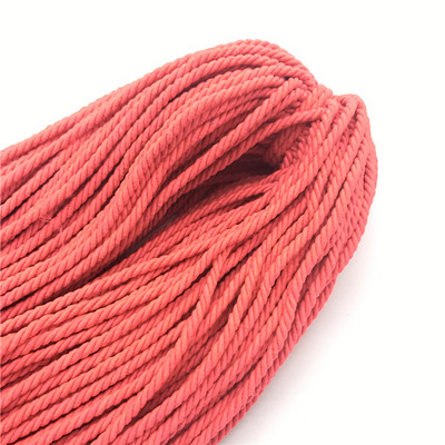 10 jardi 3 mm 3 niti Padobransko uže Uže Mil Spec Type Oprema za preživljavanje, kampiranje, penjanje Izrada nakita „uradi sam“