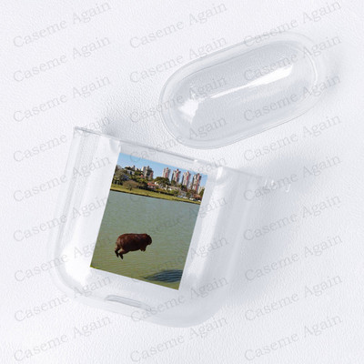 Funny Capybara Meme Case za Apple Airpods Pro 2 1 3 Zaštita otporna na udarce Air Pods Kutija za slušalice Mekana silikonska maska Funda Coque