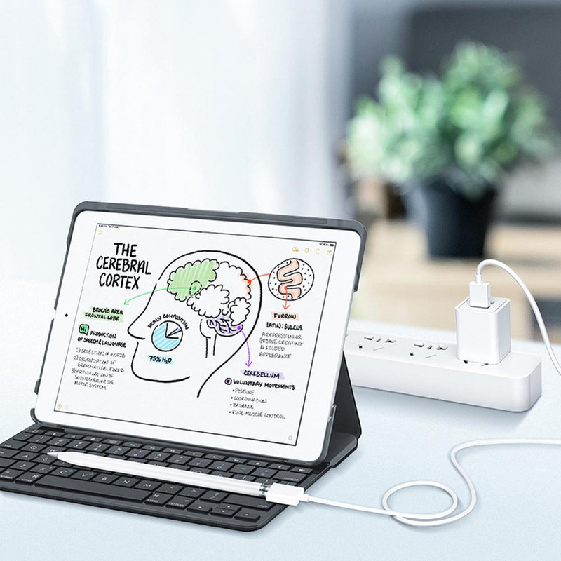 RAXFLY USB зарядно за Apple Pencil Кабел за зареждане от мъжки към женски удължителен конектор за зареждане Адаптер USB кабел за iPad Pencil