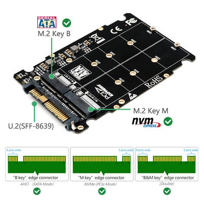 M.2 SSD į U.2 adapteris 2in1 M.2 NVMe ir SATA-Bus NGFF SSD į PCI-e U.2 SFF-8639 adapteris PCIe M2 konverteris staliniams kompiuteriams
