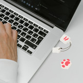 Flash Drive Thumb USB Memory Stick Disk Cat Paw Στυλό κινουμένων σχεδίων Τηλέφωνο Φωτογραφικές μονάδες Φορητός υπολογιστής