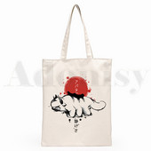 Iemiesojums The Last Airbender Aang Appa Anime Badass New Art Canvas Soma Totes Simple Print Iepirkumu somas Girls Life Casual Package