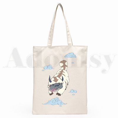 Iemiesojums The Last Airbender Aang Appa Anime Badass New Art Canvas Soma Totes Simple Print Iepirkumu somas Girls Life Casual Package
