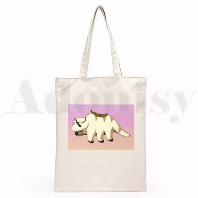 Iemiesojums The Last Airbender Aang Appa Anime Badass New Art Canvas Soma Totes Simple Print Iepirkumu somas Girls Life Casual Package