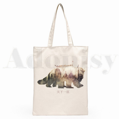 Iemiesojums The Last Airbender Aang Appa Anime Badass New Art Canvas Soma Totes Simple Print Iepirkumu somas Girls Life Casual Package