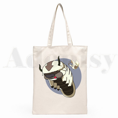 Iemiesojums The Last Airbender Aang Appa Anime Badass New Art Canvas Soma Totes Simple Print Iepirkumu somas Girls Life Casual Package