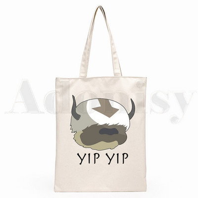Iemiesojums The Last Airbender Aang Appa Anime Badass New Art Canvas Soma Totes Simple Print Iepirkumu somas Girls Life Casual Package
