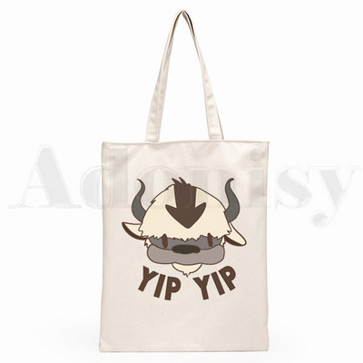 Iemiesojums The Last Airbender Aang Appa Anime Badass New Art Canvas Soma Totes Simple Print Iepirkumu somas Girls Life Casual Package
