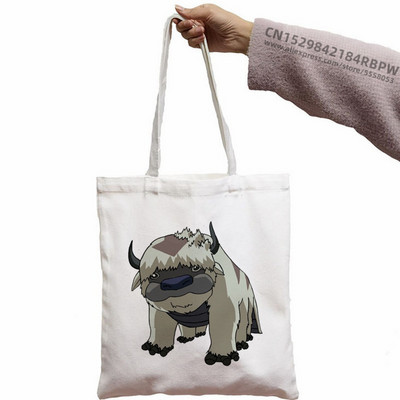 Avatar Az utolsó légidomár Aang és Appa Anime Grafikus Hipster Rajzfilm Nyomtatott Bevásárlótáskák Lányok Divat Alkalmi csomag Kézitáska