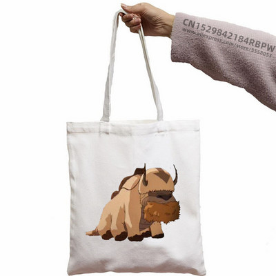 Avatar Az utolsó légidomár Aang és Appa Anime Grafikus Hipster Rajzfilm Nyomtatott Bevásárlótáskák Lányok Divat Alkalmi csomag Kézitáska