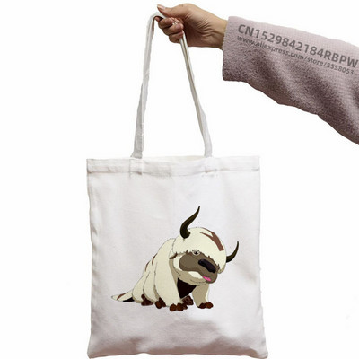 Avatar Az utolsó légidomár Aang és Appa Anime Grafikus Hipster Rajzfilm Nyomtatott Bevásárlótáskák Lányok Divat Alkalmi csomag Kézitáska