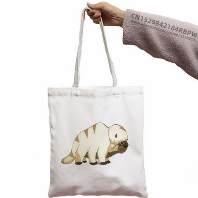 Avatar Az utolsó légidomár Aang és Appa Anime Grafikus Hipster Rajzfilm Nyomtatott Bevásárlótáskák Lányok Divat Alkalmi csomag Kézitáska