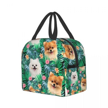 Pomeranian Dog with Summer Leaf Insolated τσάντα γεύματος για σχολικό γραφείο Pet Spitz Resuable Thermal Cooler Bento Box Women Kids