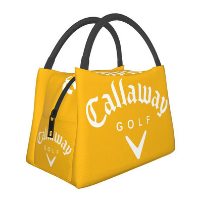 Prijenosne kutije za ručak za žene, višenamjenski hladnjak, termalna torba za ručak, izolirana za hranu, spremnik za pinike za uredski rad