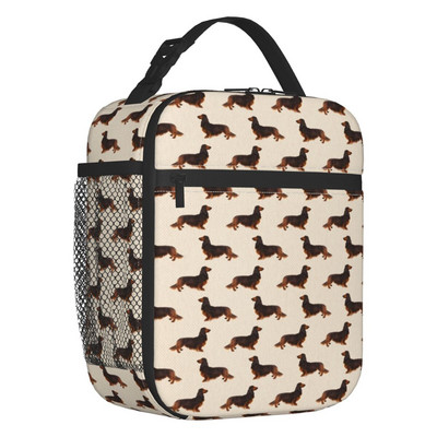 Păr lung teckel cârnați cârnă imprimeu saci de prânz izolate termic Pet Wiener portabil prânz container școală depozitare cutie pentru alimente