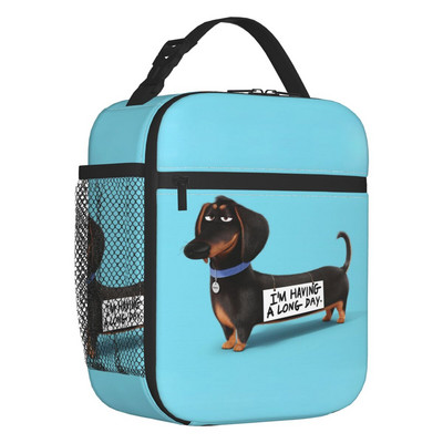 Păr lung teckel cârnați cârnă imprimeu saci de prânz izolate termic Pet Wiener portabil prânz container școală depozitare cutie pentru alimente