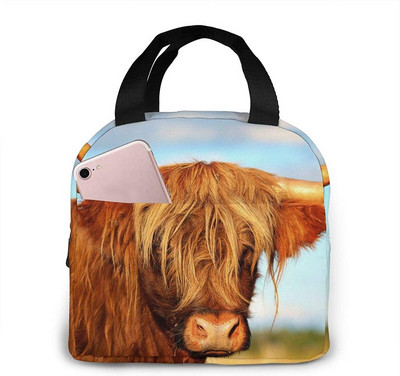 Αστείες τσάντες μεσημεριανού γεύματος αγελάδας Highland για άνδρες Γυναικείες μονωμένες τσάντες μεσημεριανού γεύματος Cooler tote bag for Work Travel Picnic, πολύχρωμες