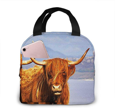 Αστείες τσάντες μεσημεριανού γεύματος αγελάδας Highland για άνδρες Γυναικείες μονωμένες τσάντες μεσημεριανού γεύματος Cooler tote bag for Work Travel Picnic, πολύχρωμες