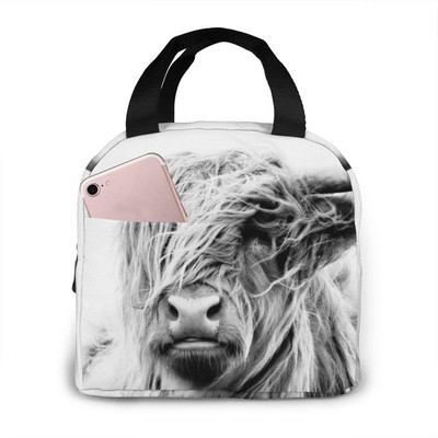 Αστείες τσάντες μεσημεριανού γεύματος αγελάδας Highland για άνδρες Γυναικείες μονωμένες τσάντες μεσημεριανού γεύματος Cooler tote bag for Work Travel Picnic, πολύχρωμες