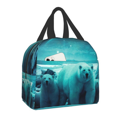 Cottagecore Aesthetic Cute Vintage Γυναικείες τσάντες με θερμομόνωση βατράχου και σαλιγκαριού Φορητό κουτί φαγητού αποθήκευσης γεύματος