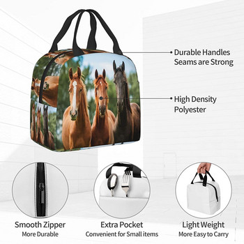 Horses Lunch Box Μονωμένες τσάντες γεύματος για παιδιά αγόρια κορίτσια Επαναχρησιμοποιήσιμες τσάντες μεσημεριανού τσαντάκια, ιδανικές για πικ-νικ πεζοπορίας πεζοπορίας στο σχολείο