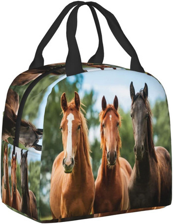 Horses Lunch Box Μονωμένες τσάντες γεύματος για παιδιά αγόρια κορίτσια Επαναχρησιμοποιήσιμες τσάντες μεσημεριανού τσαντάκια, ιδανικές για πικ-νικ πεζοπορίας πεζοπορίας στο σχολείο