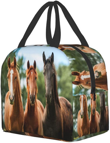 Horses Lunch Box Μονωμένες τσάντες γεύματος για παιδιά αγόρια κορίτσια Επαναχρησιμοποιήσιμες τσάντες μεσημεριανού τσαντάκια, ιδανικές για πικ-νικ πεζοπορίας πεζοπορίας στο σχολείο