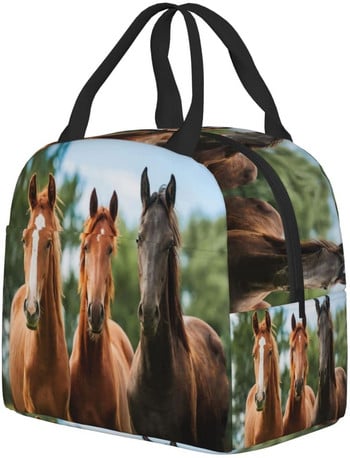 Horses Lunch Box Μονωμένες τσάντες γεύματος για παιδιά αγόρια κορίτσια Επαναχρησιμοποιήσιμες τσάντες μεσημεριανού τσαντάκια, ιδανικές για πικ-νικ πεζοπορίας πεζοπορίας στο σχολείο