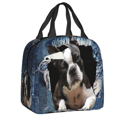 A bostoni terrierek szeretik az úrnős kutyákat, hordozható ebédlődobozok, szivárgásmentes hűtő, hőszigetelt ebédzsák iskolás gyerekek