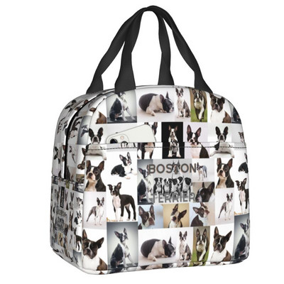 A bostoni terrierek szeretik az úrnős kutyákat, hordozható ebédlődobozok, szivárgásmentes hűtő, hőszigetelt ebédzsák iskolás gyerekek