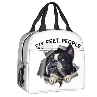 A bostoni terrierek szeretik az úrnős kutyákat, hordozható ebédlődobozok, szivárgásmentes hűtő, hőszigetelt ebédzsák iskolás gyerekek