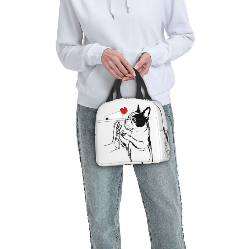 A bostoni terrierek szeretik az úrnős kutyákat, hordozható ebédlődobozok, szivárgásmentes hűtő, hőszigetelt ebédzsák iskolás gyerekek