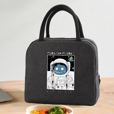 Izolirana torba za ručak, patentni zatvarač, hladnjak, termo torba, kutija za ručak, platnena torba za piknik, torbe za ručak za posao, ručna torba, astronautski uzorak