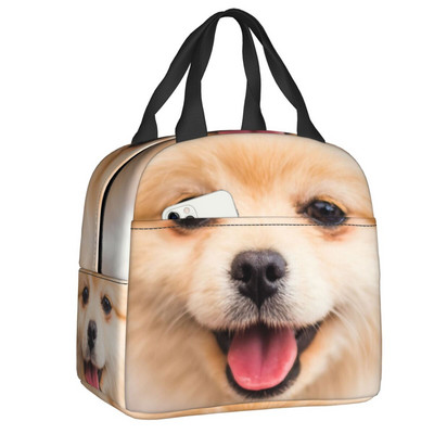 Γελοιογραφία Pomeranian Lunch Boxes Γυναικείες πολλαπλές χρήσεις Spitz Dog Θερμικό ψυγείο με μόνωση τροφίμων Τσάντα μεσημεριανού γεύματος Εργασία γραφείου