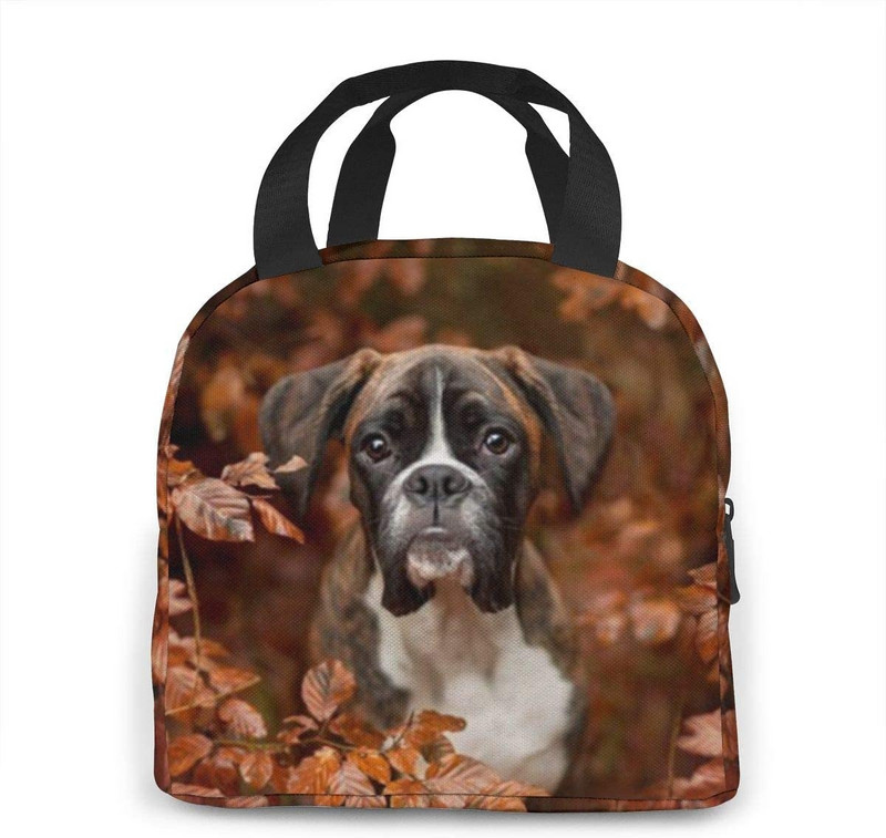 Vízálló ételkészítő doboz cipzáras boxer kutyákkal, őszi szivárgásmentes, újrafelhasználható szigetelt, tartós hűtő ebédtáska
