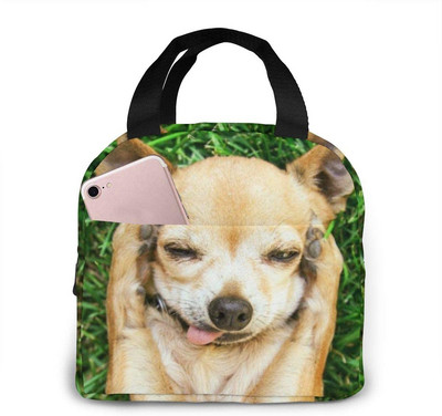 Geanta unisex pentru incalzire a mancarii Geanta de pranz pentru caini Chihuahua