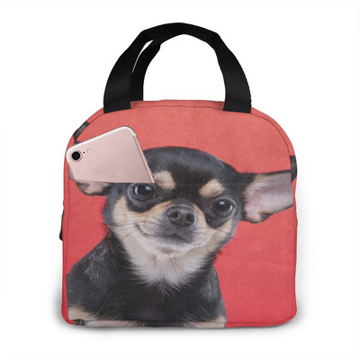 Geanta unisex pentru incalzire a mancarii Geanta de pranz pentru caini Chihuahua