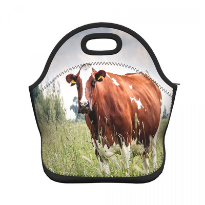 Funny Cow Neo-Prene torbe za ručak Žene Muškarci Termo izolirana višekratna periva Pic-Nic kutija za ručak