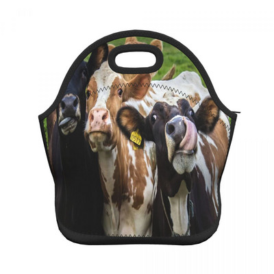 Funny Cow Neo-Prene torbe za ručak Žene Muškarci Termo izolirana višekratna periva Pic-Nic kutija za ručak