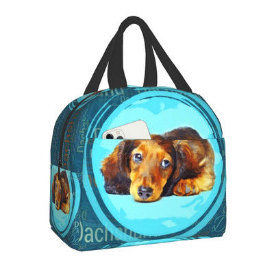 Jauki Bernes ganu suns ar ziediem, pārnēsājama pusdienu kaste sievietēm, necaurlaidīga dzīvnieku termiskā dzesētāja, pārtikas izolēta pusdienu soma